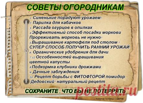 (54) Одноклассники