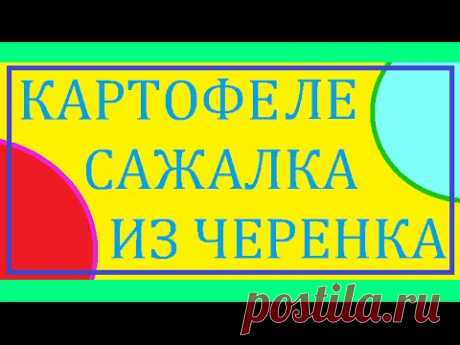Картофелесажалка ручная из черенка супер простая / Сажалка картофеля /