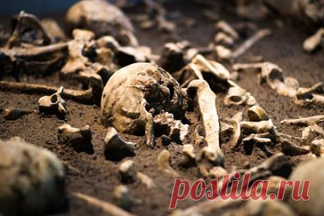 У людей каменного века обнаружили опасные инфекции. Ученые выяснили, что бактериальные инфекции, которые в настоящее время излечиваются антибиотиками, были очень опасными для людей каменного века, которые жили плотными группами. Они обнаружили следы инфекций в костях людей эпохи неолита, в том числе бактерии, вызывающие сальмонеллез.