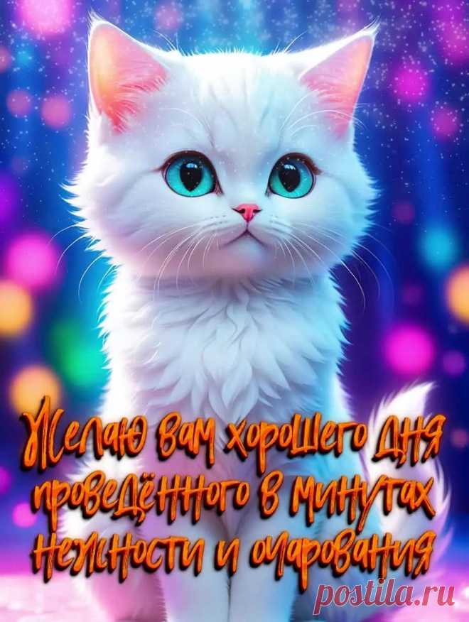 Открытка хорошего дня с котиком