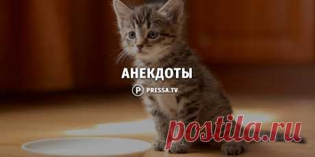 20-ка отборных анекдотов дня . Чёрт побери