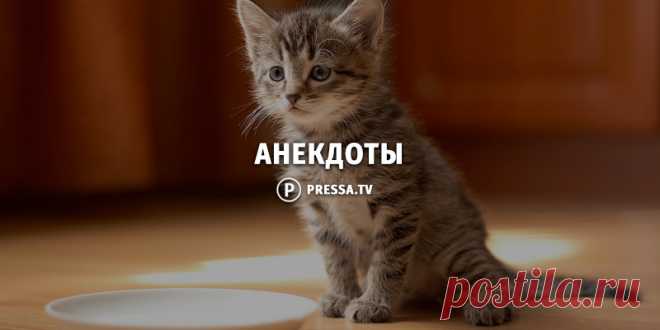20-ка отборных анекдотов дня . Чёрт побери
