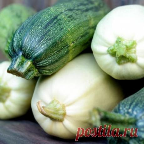 Жареные кабачки в овощном соусе на зиму