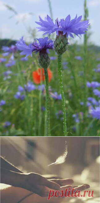 Уважения заслуживают те люди, которые независимо от ситуации, времени и места, остаются такими же, какие они есть на самом деле. Лермонтов: 4 тыс изображений найдено в Яндекс.Картинках