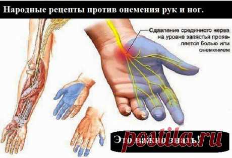 Ваш личный врач.: Народные рецепты против онемения рук и ног. Это важно знать!