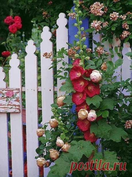 Garden Wooden Fence | Amazing Pictures - Amazing Pictures, Images, Photography from Travels All Aronud the World