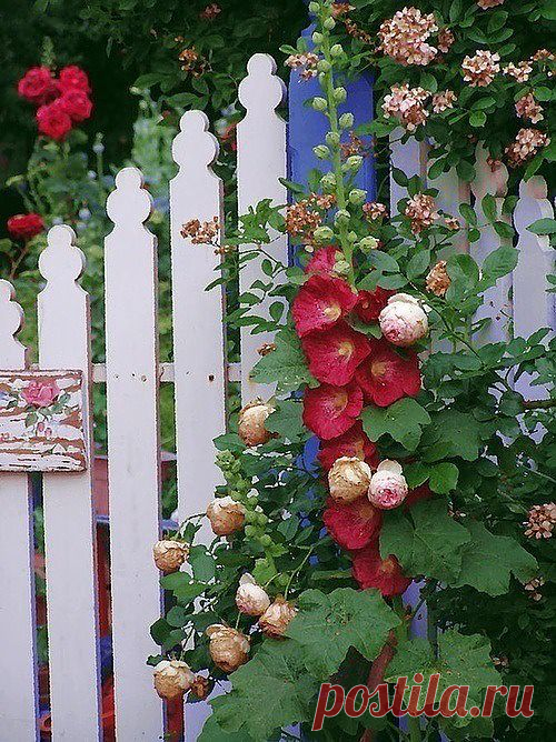 Garden Wooden Fence | Amazing Pictures - Amazing Pictures, Images, Photography from Travels All Aronud the World