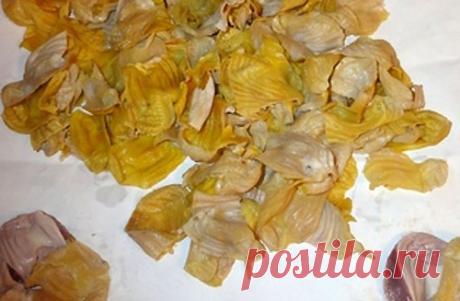 Сычужная закваска из куриных желудков