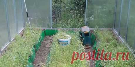 Севооборот