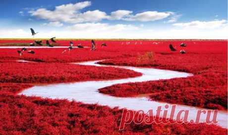 Самые живописные места на планете (фото) - Полюс Мира
Красные берега реки Ляохэ, Китай