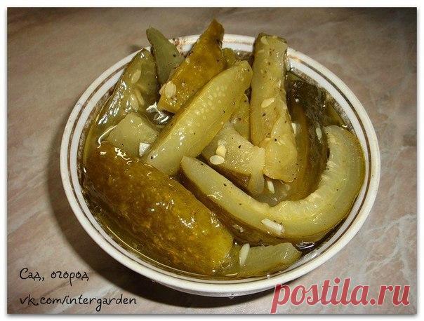 Огурцы пряные в горчице

Для рецепта подойдут любые огурцы, если для маринования мы подбираем самые маленькие, то здесь не нужно так строго к этому подходить. Любых размеров огурцы разрезаете на четыре части, вдоль, самые крупные на шесть частей и далее по рецепту:

2 кг огурцов разрезать вдоль и сложить в кастрюлю, туда добавить :
0,5 стакана сахара,
0,5 стакана растительного масла,
80 грамм 9% уксуса
2 ст. ложки соли (без горочки)
1 ст. ложку сухой горчицы
2 ст. ложки ме...