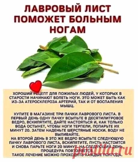 Лавровый лист поможет больным ногам