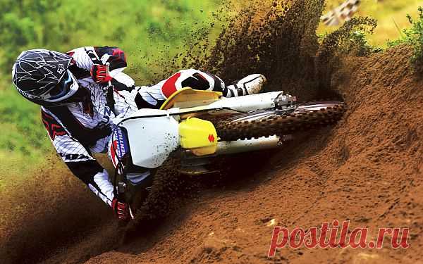 Suzuki motocross bike race.