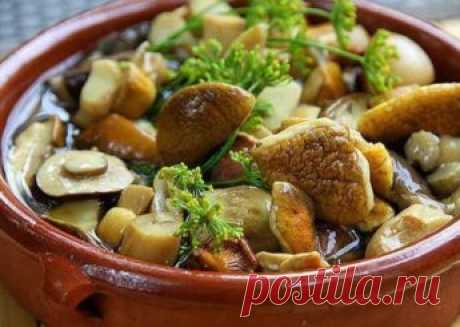 Маринованные грибы на зиму рецепты:белые,лисички,опята