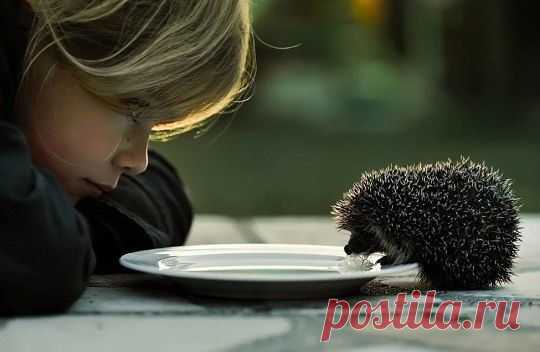 Будьте добрее, когда это возможно. А это возможно всегда.

Далай Лама