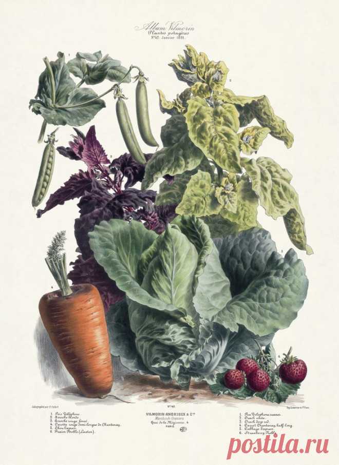 Найдено на сайте propermag.com.