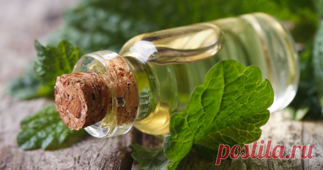 Осторожно: масло для лица. Покупателям об особенностях продукта В последнее время в моде всё натуральное: натуральная еда, натуральные ткани, натуральная косметика. Современный человек изо всех сил стремится уйти как можно дальше от всего синтетического, и это, в целом, похвально.Не так давно стало модным отказываться от промышленных умывалок, кремов и прочей «химии», а в качестве альтернативы ухаживать за кожей лица при помощи щелочного мыла и натуральных масел.