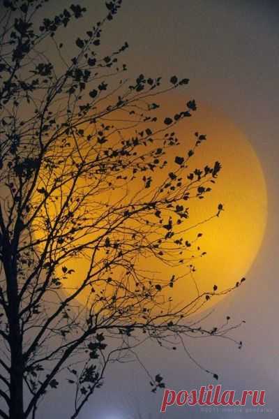 Shared whispers... — beautymothernature: Beautiful Mother Nat mother...