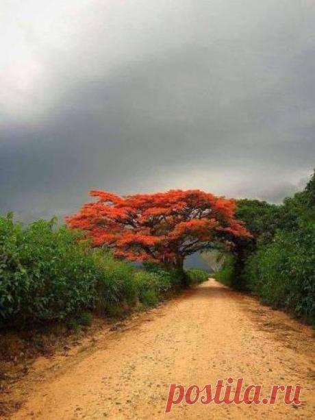 Pinterest (Pin) (157)