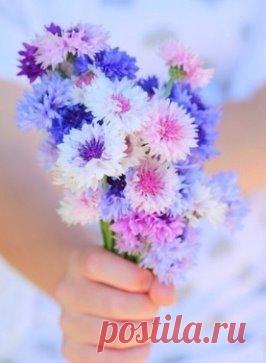 Доброе утро