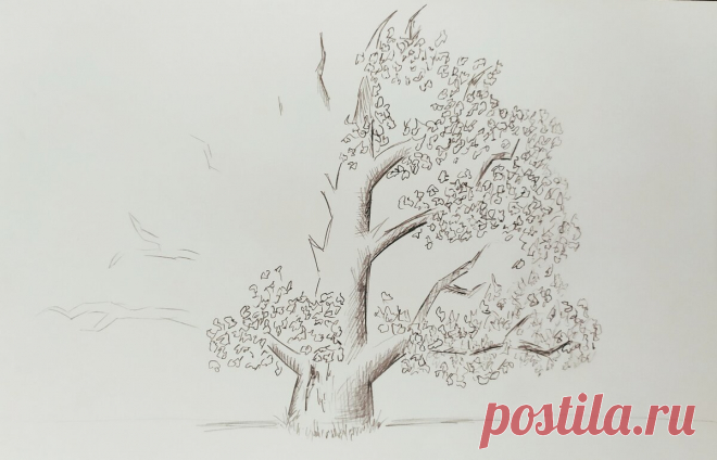 Не умею рисовать деревья. Простая техника и впечатляющий результат | РИСУЮ ДОМА | Яндекс Дзен