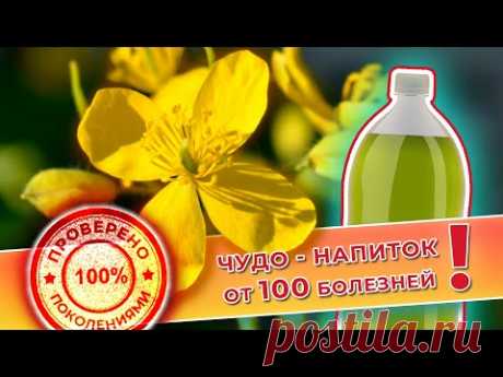 Чудо напиток от 100 болезней. Рецепт, проверенный поколениями