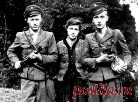 Предсмертная исповедь старой бандеровки. Вот с кем мы имеем дело - infovzor.ru