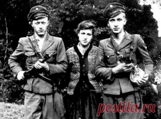 Предсмертная исповедь старой бандеровки. Вот с кем мы имеем дело - infovzor.ru
