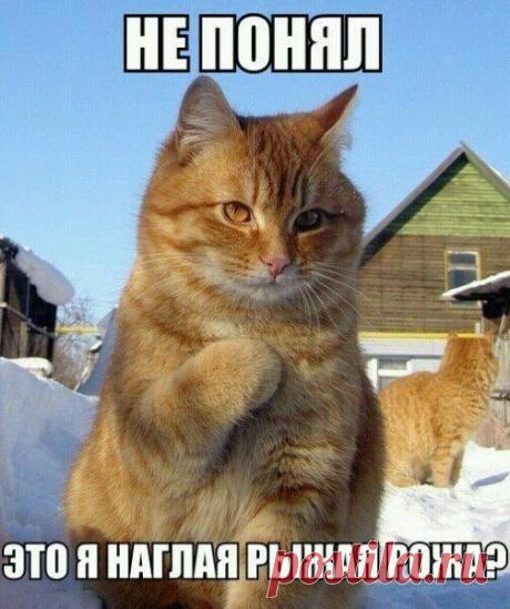 Интересные новости