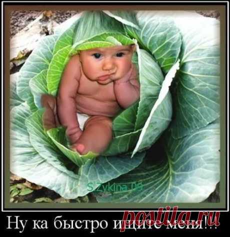 необъяснимое есть