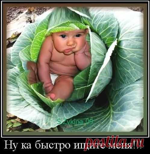 необъяснимое есть