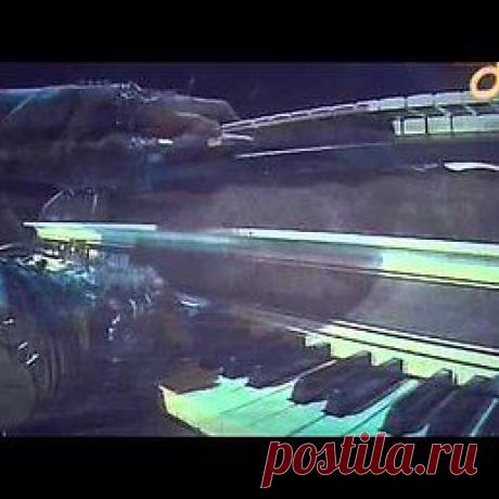 венера: Свою жизнь надо устраивать до тех пор,пока жизнь не начнет устраивать тебя
