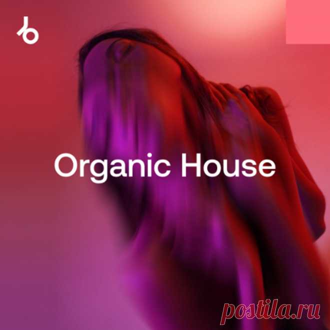 Beatport Festival Essentials 2025 Organic House August FLAC » MinimalFreaks.co
