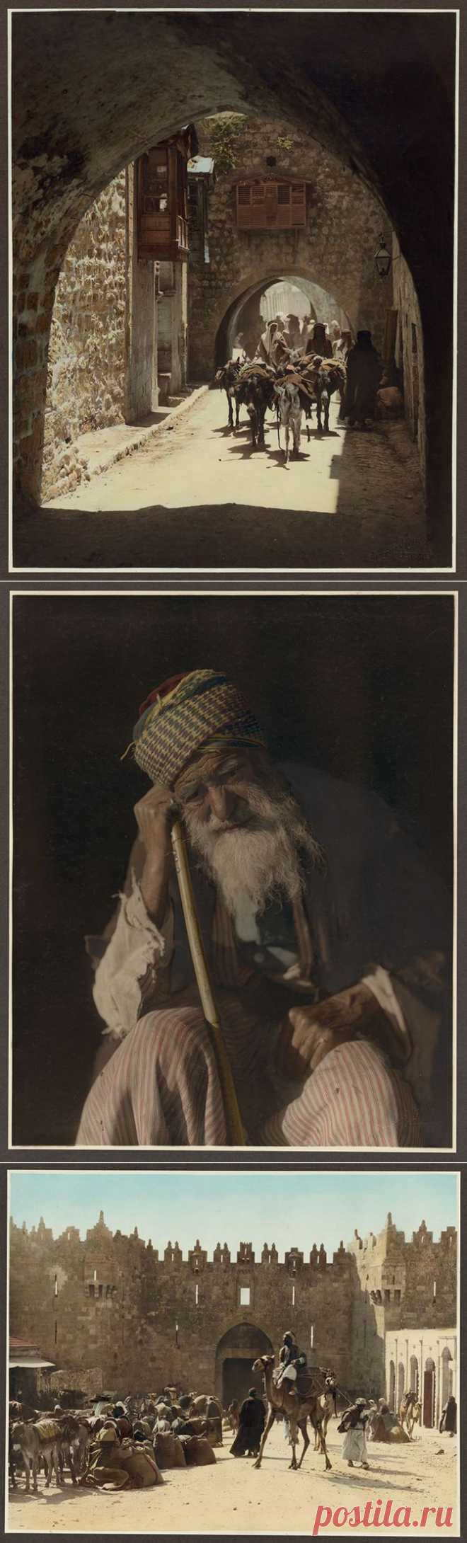 Палестина 1919 года в цвете | Fresher - Лучшее из Рунета за день