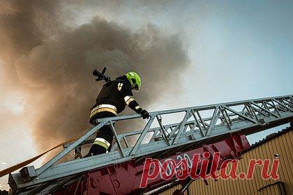 Семилетний мальчик поджег ТРЦ в Киеве. Причиной пожара в одном из торгово-развлекательных центров в Киеве стал умышленный поджог, который совершил семилетний мальчик. Об этом заявили в городской полиции. Название точки украинские сотрудники правопорядка не привели. 13 января мэр Киева Виталий Кличко рассказал о пожаре в ТРЦ «Космополит».
