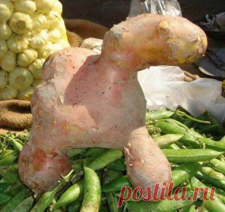 Найдено на сайте bing.com.