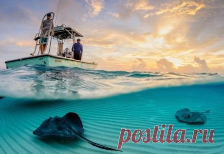 Мой Мир@Mail.Ru