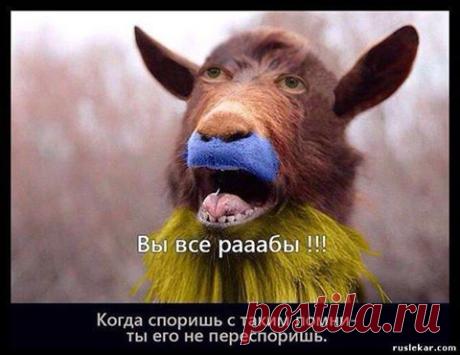 (16) Facebook