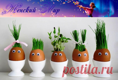 Огород в яичных скорлупках - отличный эксперимент для ребёнка! &amp;raquo; Женский Мир