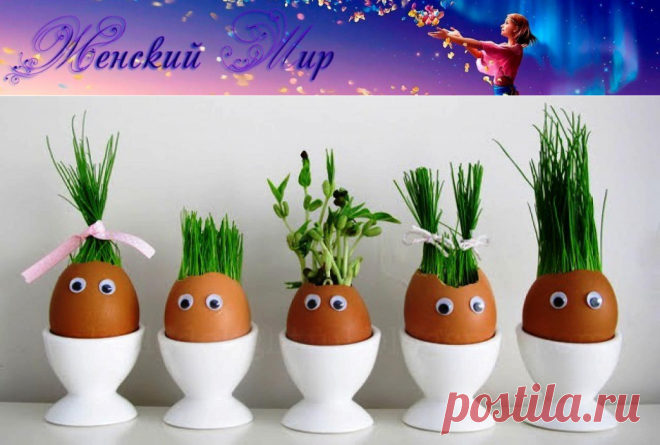 Огород в яичных скорлупках - отличный эксперимент для ребёнка! &raquo; Женский Мир