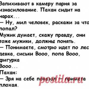Хозяйка думала, что играет с псом, кидая палку в озеро, а через час он умер - МирТесен