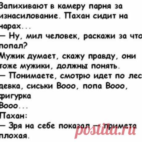 Хозяйка думала, что играет с псом, кидая палку в озеро, а через час он умер - МирТесен