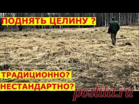 Делаем из ЦЕЛИНЫ газон эффективно для ленивых