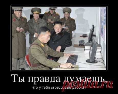 Демотиваторы (30 фото) » Триникси