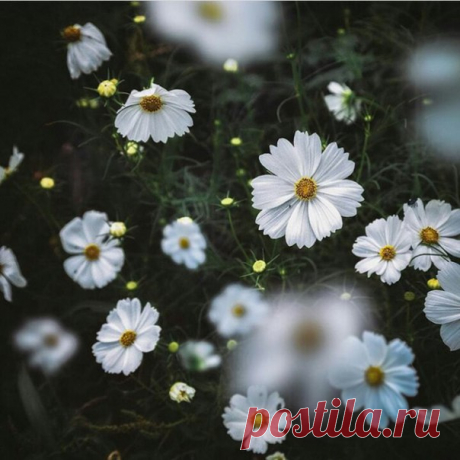 Спокойной ночи, дорогие 😘!