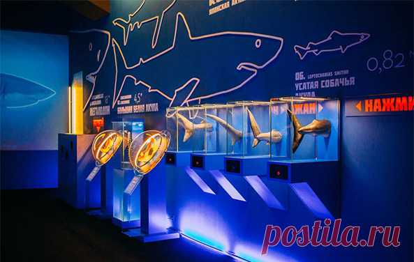 Для абонентов Билайн