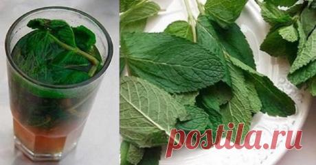 Как лечить печень — Домашний уют