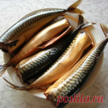 Засолка скумбрии в луковой шелухе - МирТесен