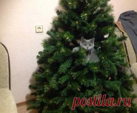 Мой Мир@Mail.Ru