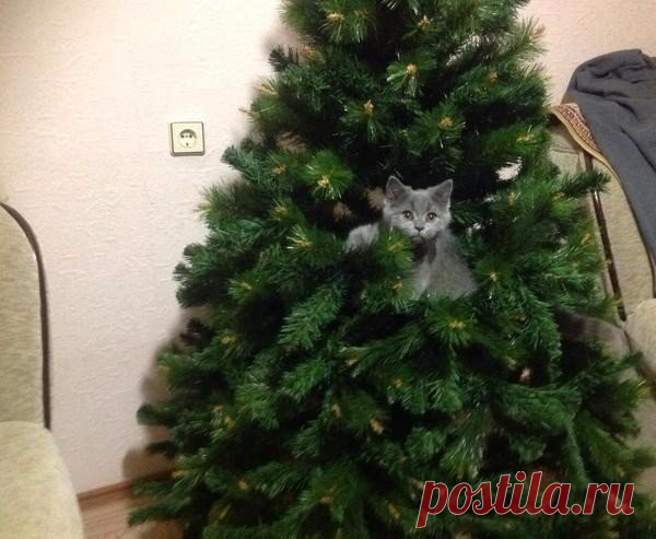 Мой Мир@Mail.Ru